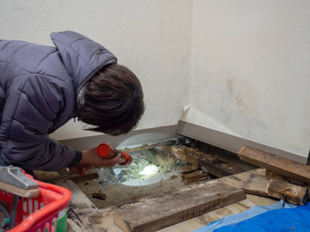 Best Commercial Mold Inspection  in Lyman, MS