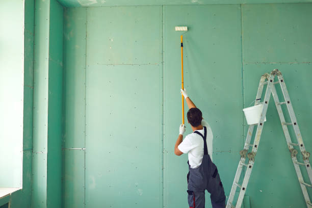 Trusted Lyman, MS Mold Removal Experts