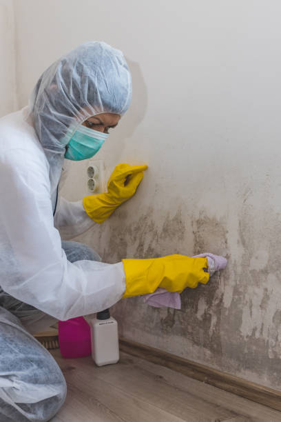 Best Asbestos and Lead Testing During Mold Inspection  in Lyman, MS
