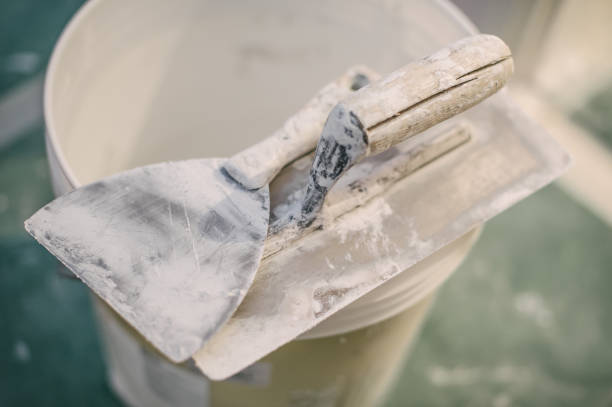 Best Post-Construction Mold Inspection  in Lyman, MS