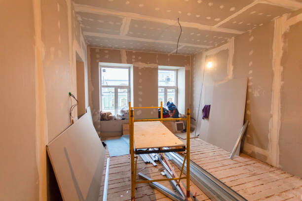 Best Emergency Mold Remediation  in Lyman, MS