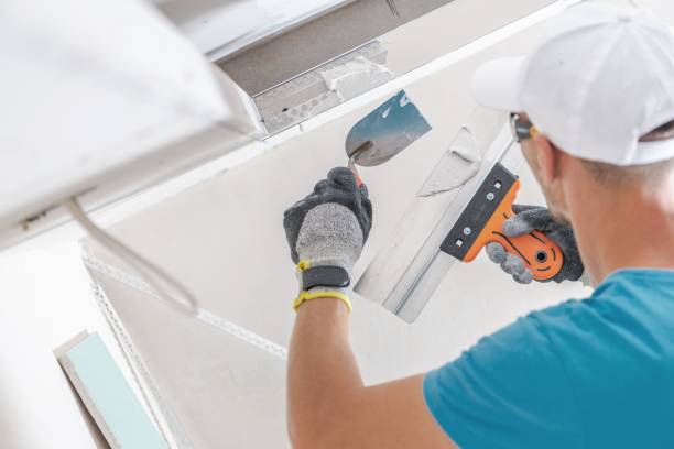 Best Mold Removal for HVAC Installations  in Lyman, MS